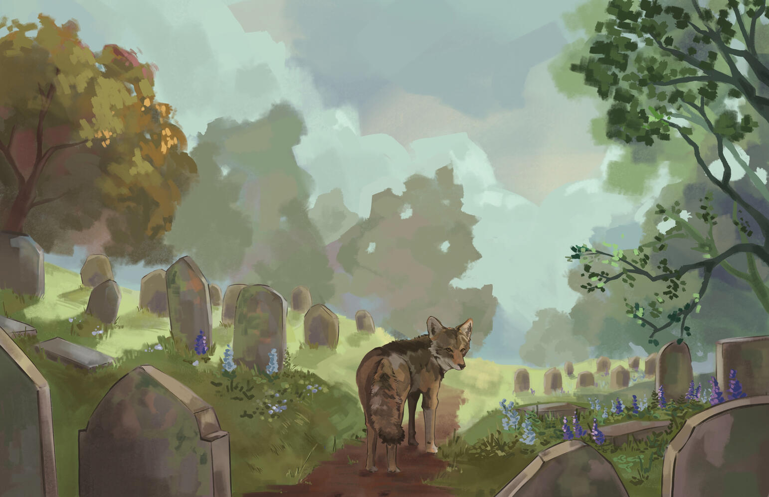 Revisiting